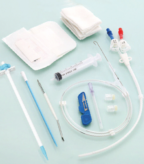 Long-term Indwelling Hemodialysis Catheter